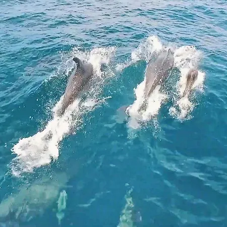 Bahamas By Algarve Vacation וילה Armação de Pêra