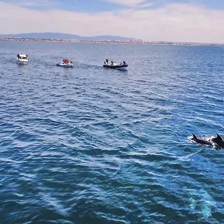 וילה Bahamas By Algarve Vacation Armação de Pêra